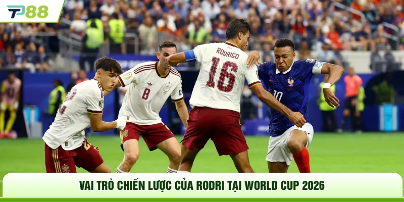 Vai trò chiến lược của Rodri tại World Cup 2026